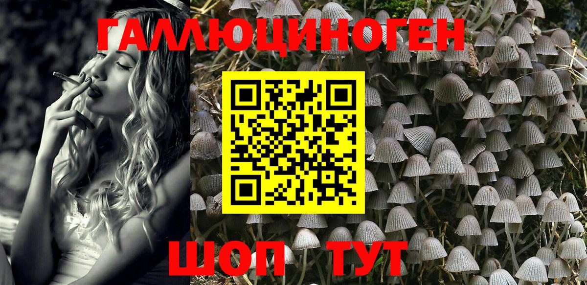 Михайловск  Галлюциногенные грибы Magic Shrooms  Галлюциногенные грибы Psilocybe  Вход с VPN 